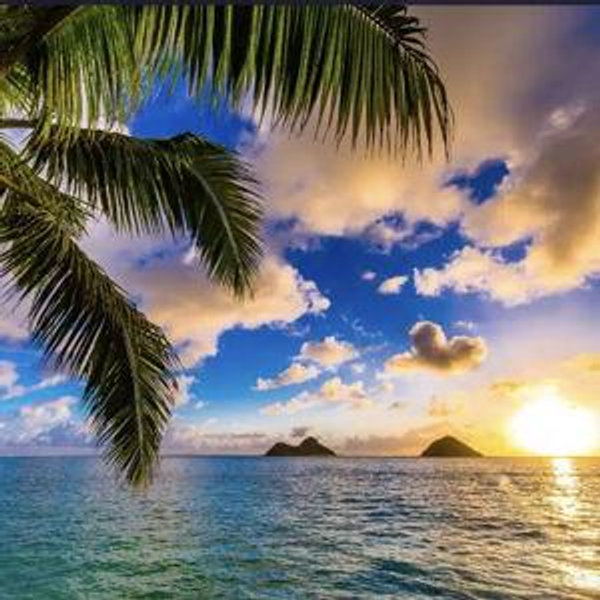 Cayman Islands Honeymoon Fund