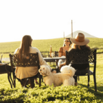 Baileyana, Tangent & True Myth Tasting Room