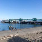 Brackett's Landing North