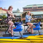Tampa Bay Water Bike Company