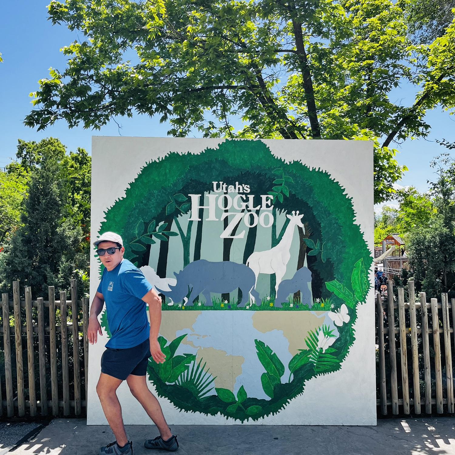 Spotted a rare sighting of Bigfoot at Hogle Zoo in Utah!