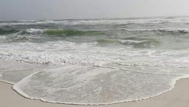 The Wedding Website of Kassie Patterson and Michael Caponi