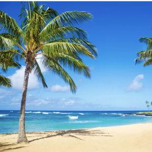 Honeymoon and Newlywed Fund