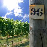 Bozzo Family Vineyards