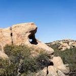 Lizards Mouth Rock