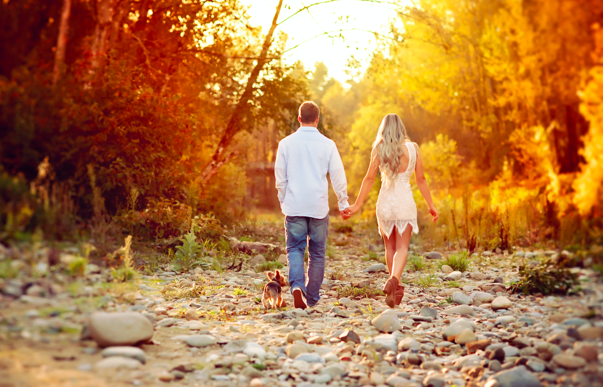 d32ab88f-9902-4ee8-a83f-02619aa40d81