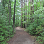 Proud Lake Recreation Area