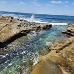 Tide Pools in La Jolla