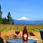 Wine Tasting