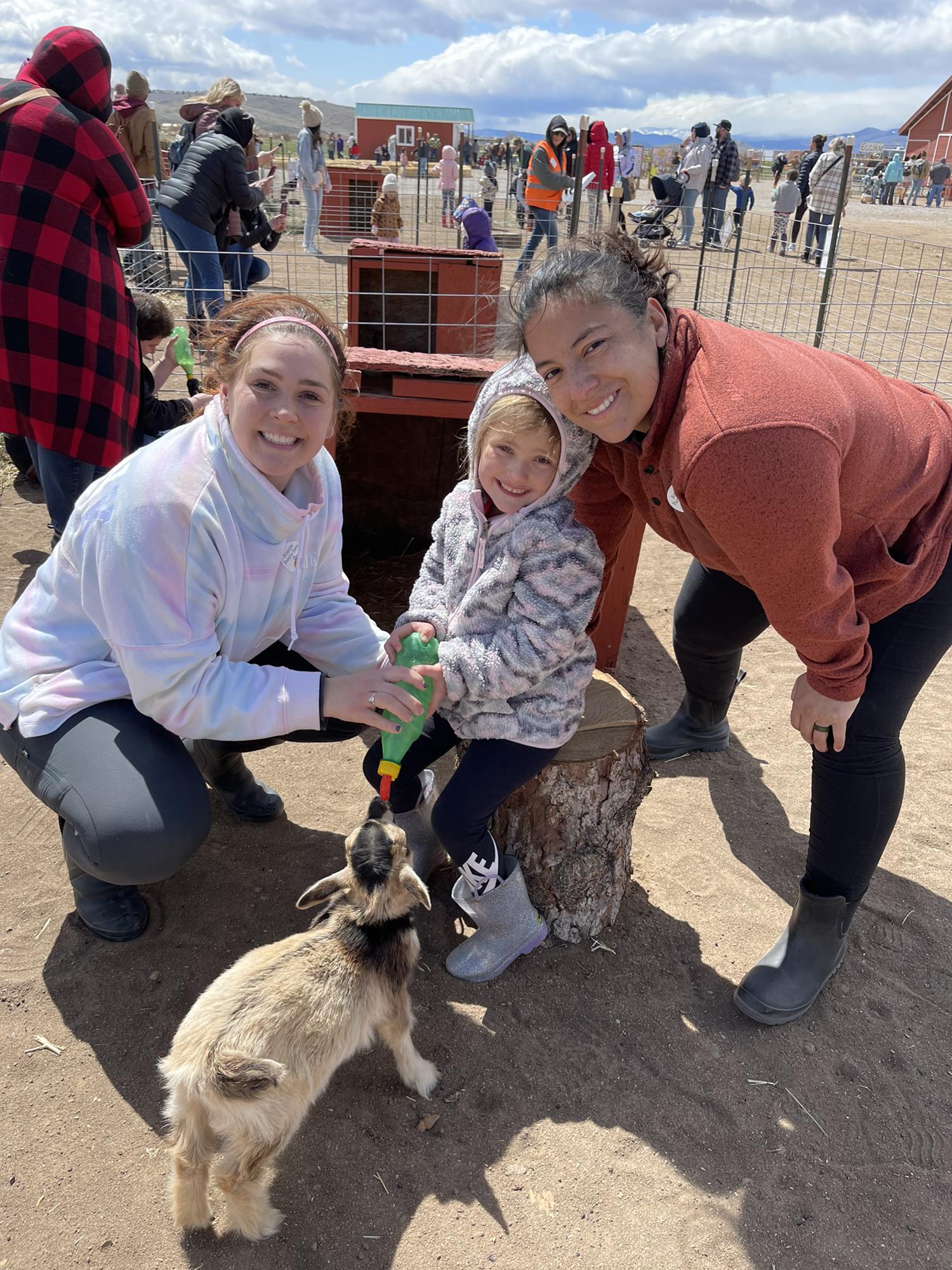 Feeding baby goats in Reno 🥰