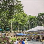 Naukabout Brewery and Taproom