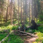 Ponderosa State Park