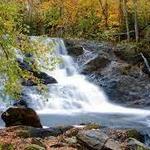 Thundering Brook Falls Trail