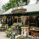 Buy a really cool plant at Ceremony Botanical