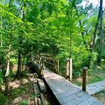 Four Mile Point Preserve