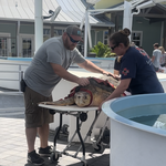 ACTIVITY: Loggerhead Marinelife Center