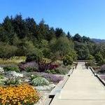 Humboldt Botanical Garden