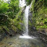 El Yunque National Forest