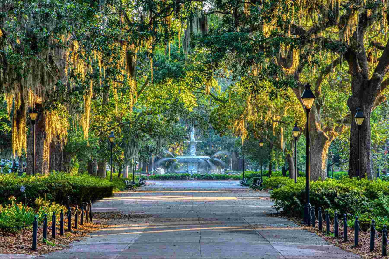 The Wedding Website of Madison Sosa and Brock Stephenson