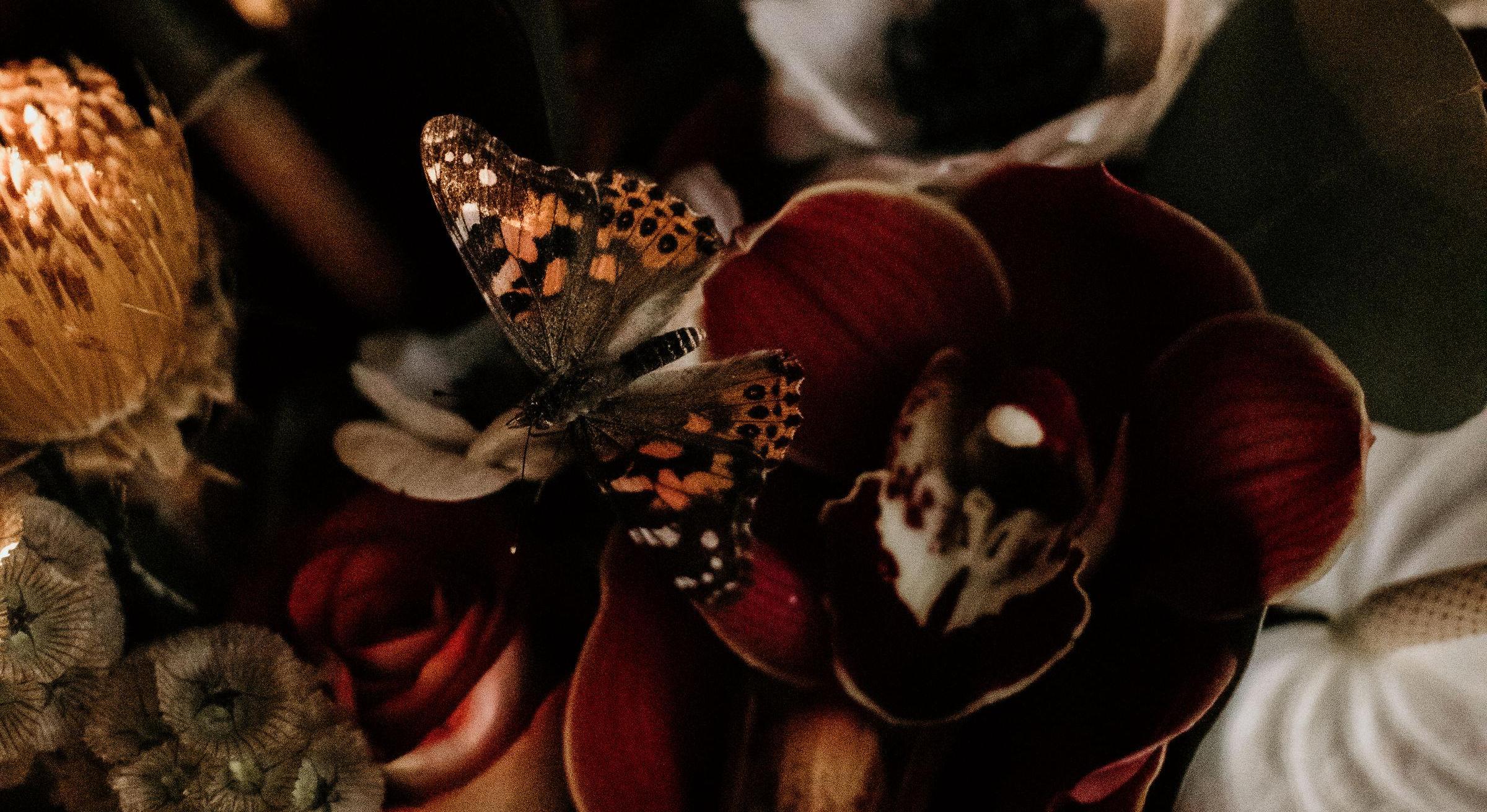 Footer image