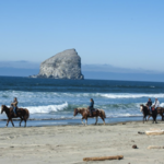 Green Acres Beach & Trail Rides