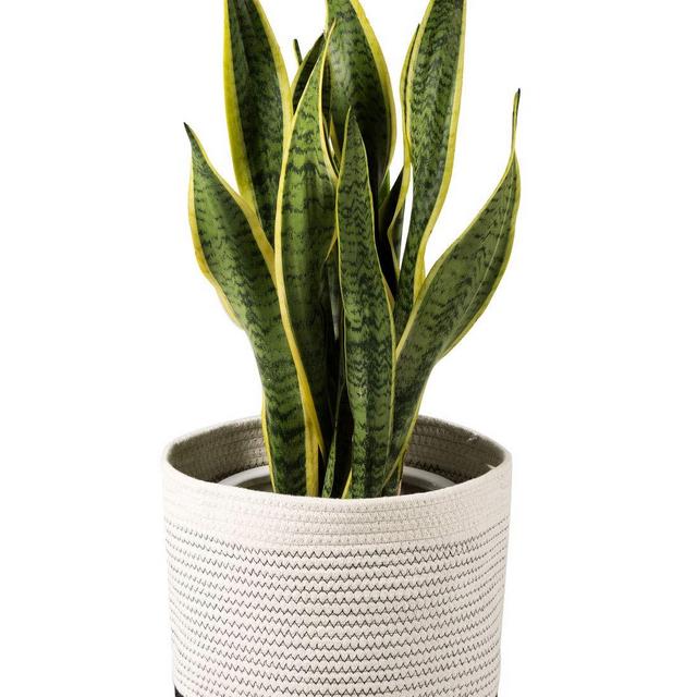 TIMEYARD Woven Cotton Rope Plant Basket for 10" Flower Pot Floor Indoor Planters, 11” x 11” Storage Basket Organizer Modern Home Decor, Black and White Stripes