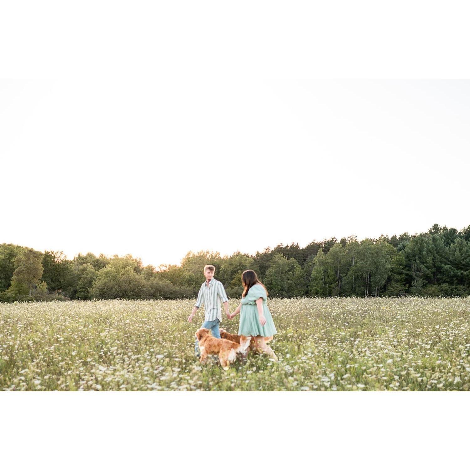 Engagement pictures in Michigan