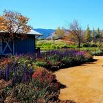 Cornerstone Sonoma