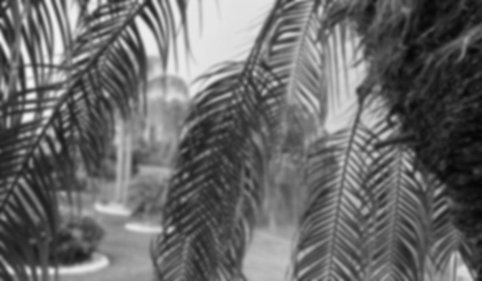 Footer image