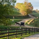 Sugar Creek Township