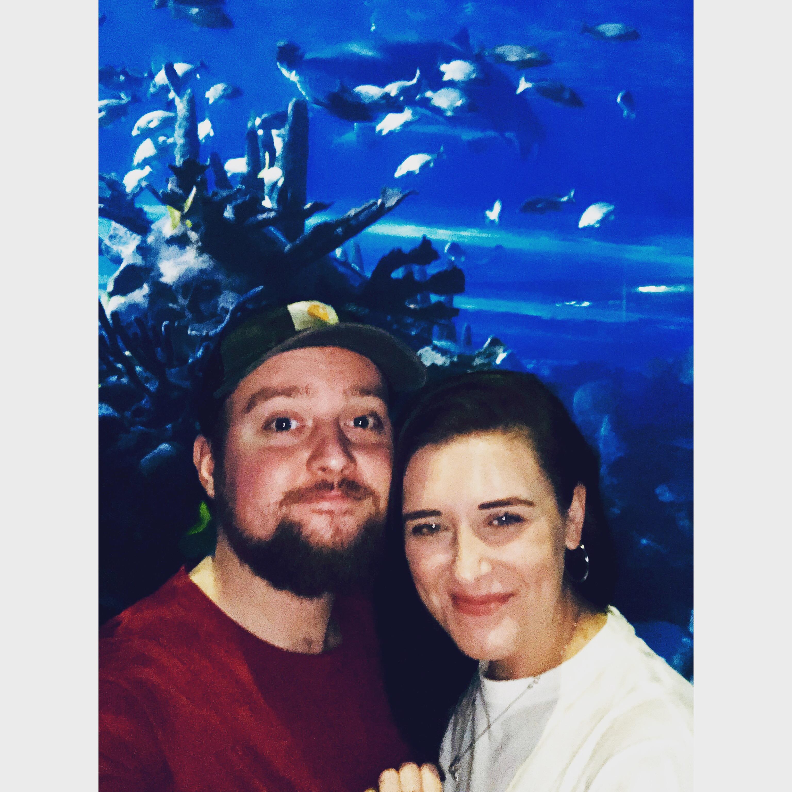 Aquarium visit in Gatlinburg