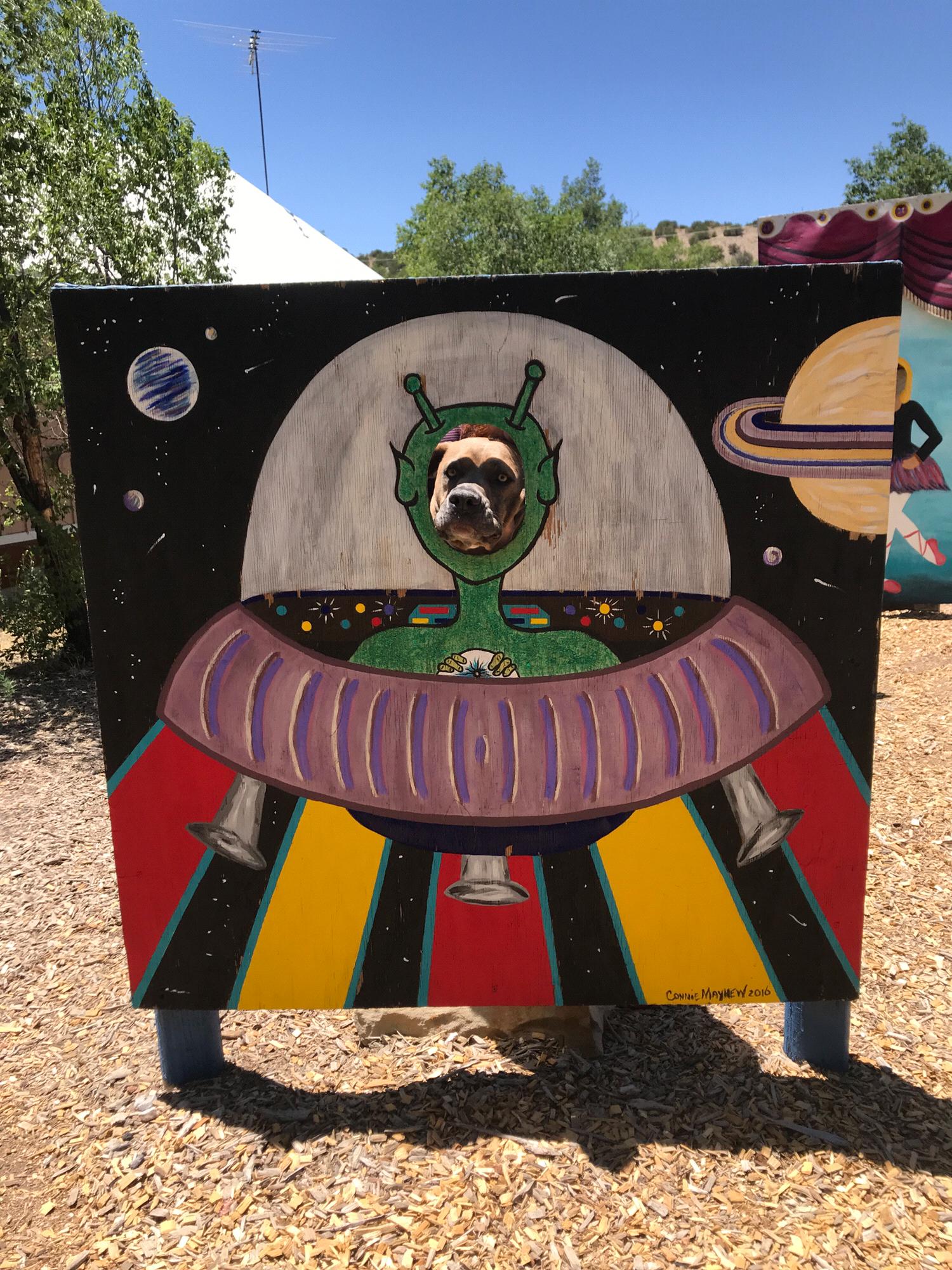 New Mexico 2020