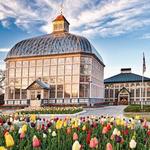Rawlings Conservatory