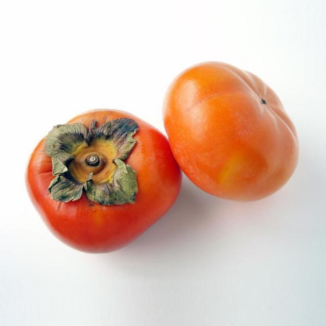 Jiro Asian Persimmon Tree