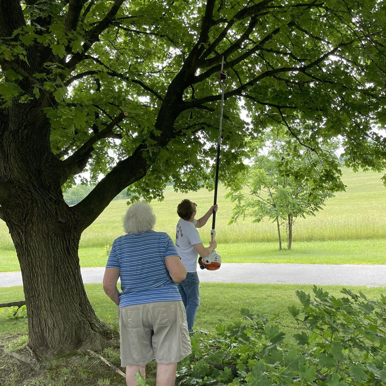 Kristen's Grandma Knepshield had Sean out cutting tree limbs on his first visit to her house. Kristen enjoyed watching him work, but did cave and help him drag the cut limbs to the brush pile.