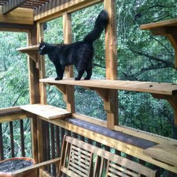 Catio for Nina and Nube