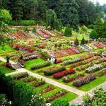 International Rose Test Garden