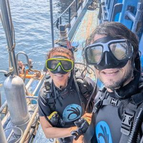 Our next diving course