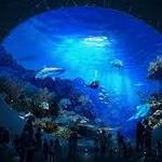 Aquarium