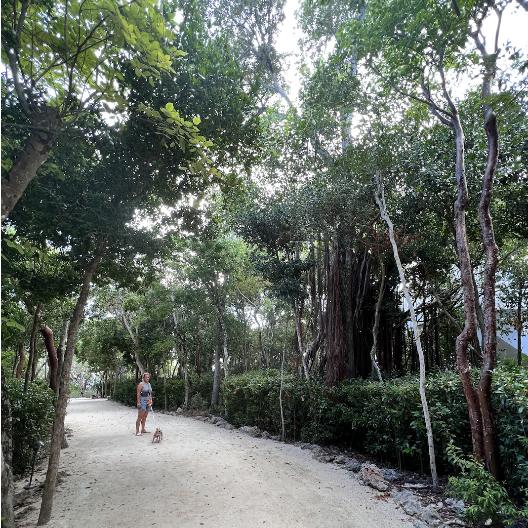 Resort walking paths