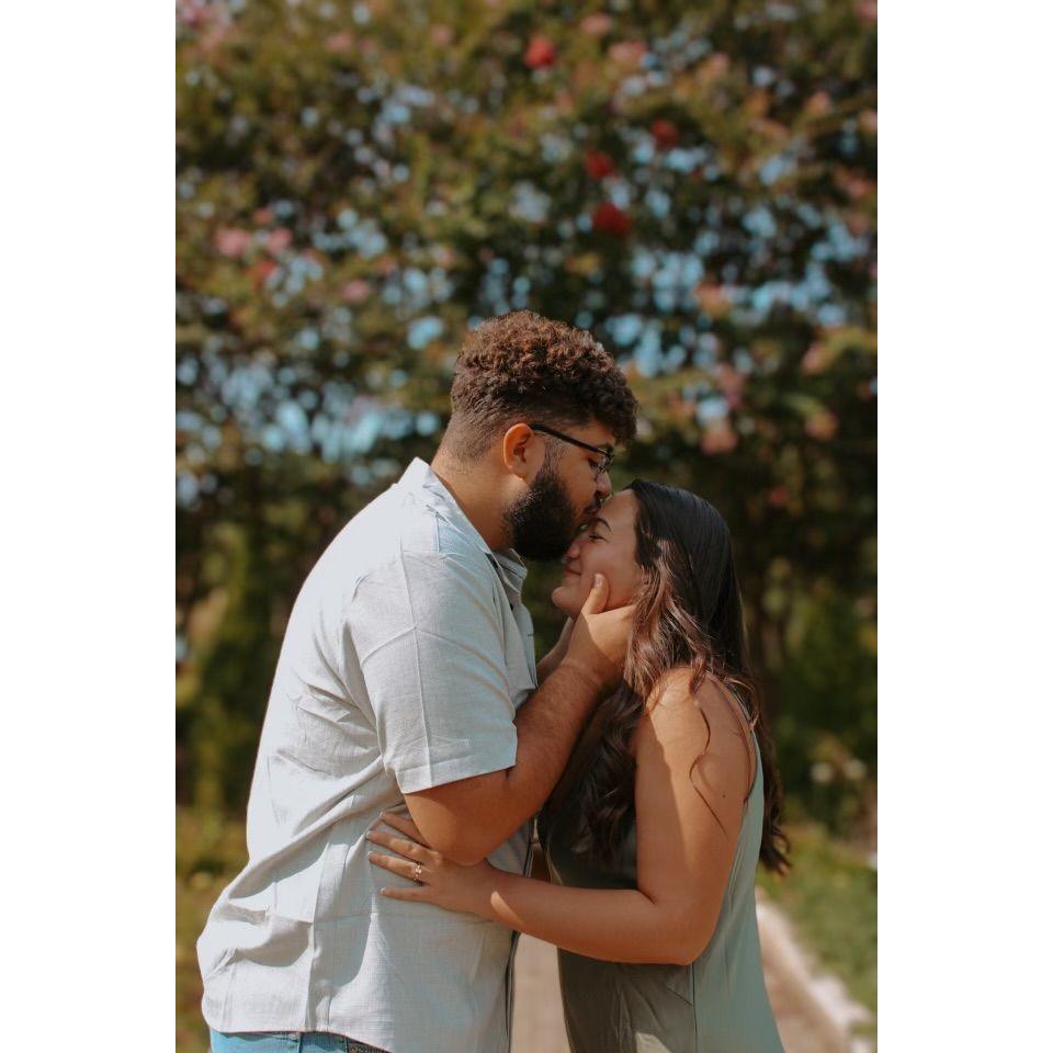 Engagement pictures