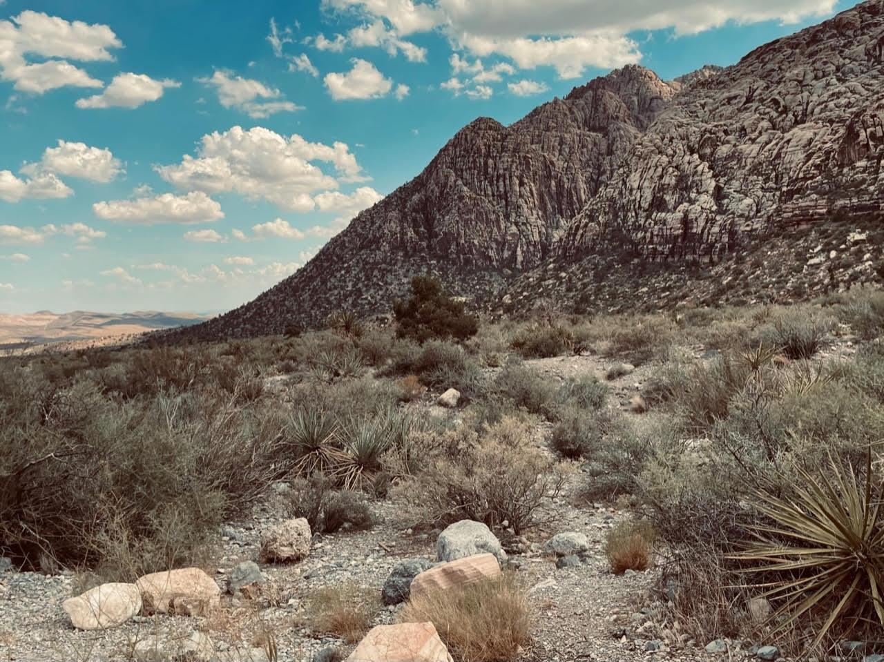 The Wedding Website of Porsia Mininfield and Victoria Pelham