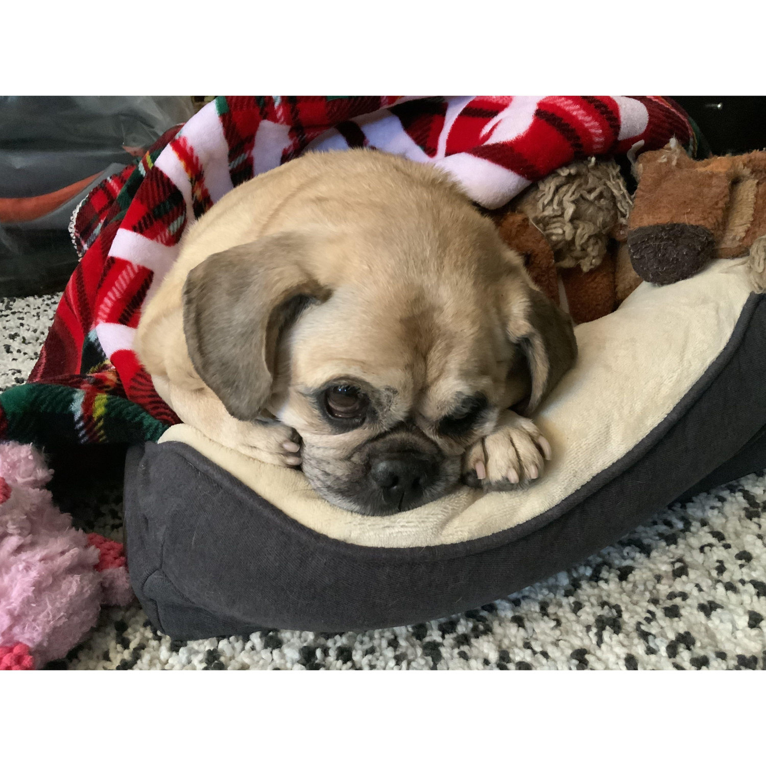Our new child