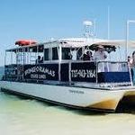 Dolphin Cruise Boat Tours - Spongeorama Cruise Lines