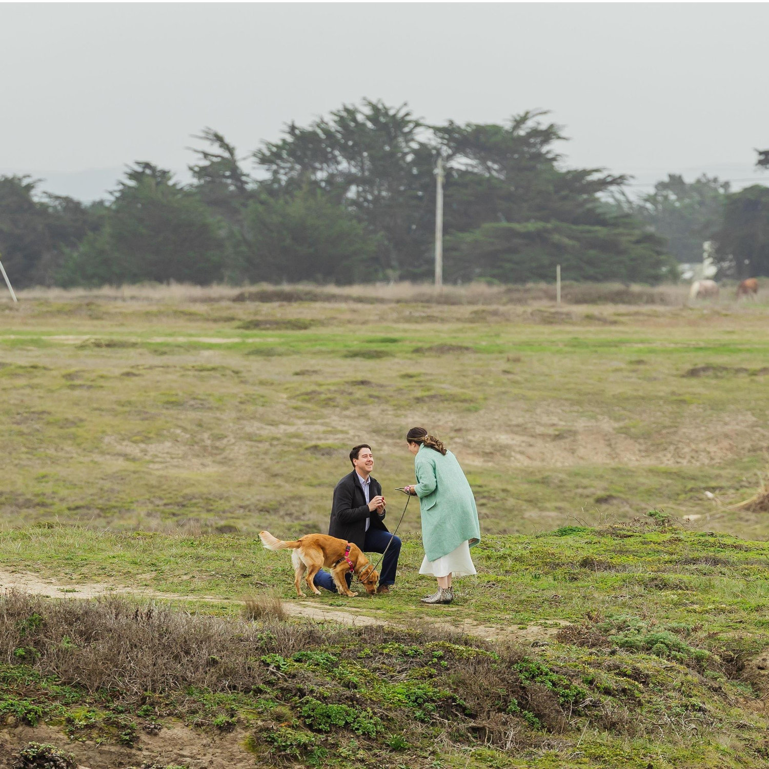 The proposal in Half Moon Bay, CA