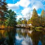 Bailey Arboretum
