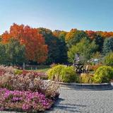 Arboretum