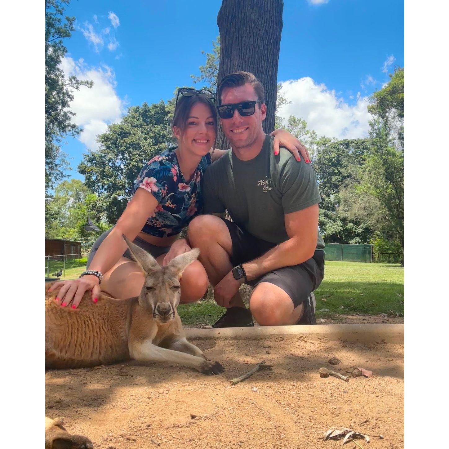 Christmas & NYE in Australia. We hung out with kangaroos & koalas, went free diving in the Great Barrier Reef and watched the NYE fireworks at the Sydney opera house. We loved every moment of our trip