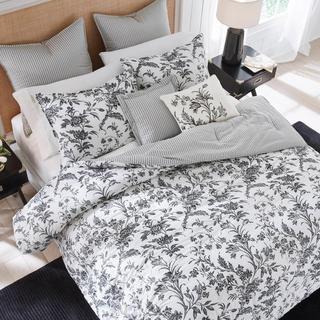 Amberley Cotton 7-Piece Comforter Set