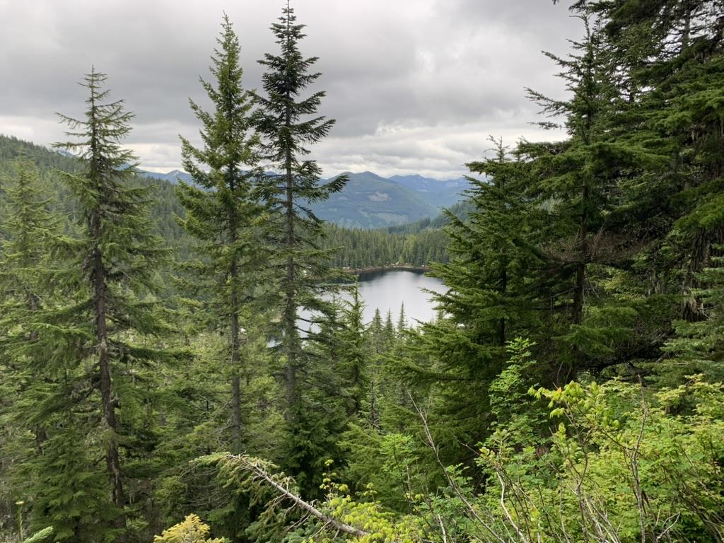 The Wedding Website of Piper Nash and Josiah Perez